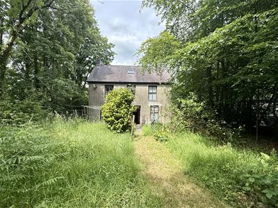 Picture 25